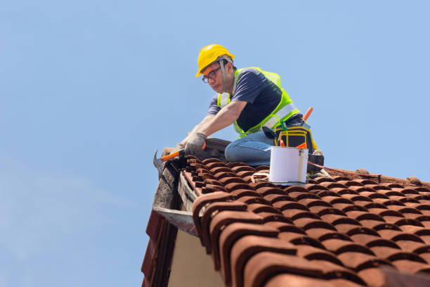 Best Roof Moss and Algae Removal  in Depoe Bay, OR